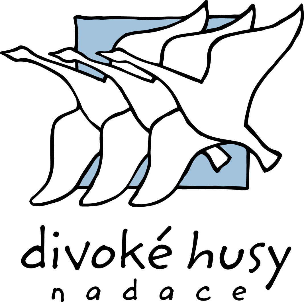divoke husy logo